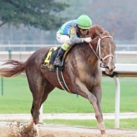 Preakness 2022 betting offers, free bets, and odd boosts