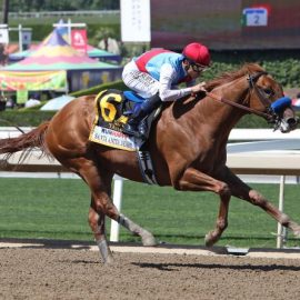 How to Bet on Kentucky Derby 2022 | Montana Sports Betting Sites