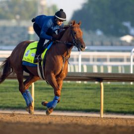 Kentucky Derby Picks Forbes