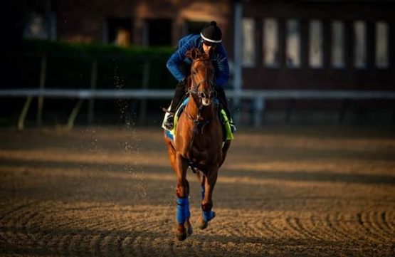 How to Bet on Kentucky Derby 2022 | Texas Sports Betting Sites
