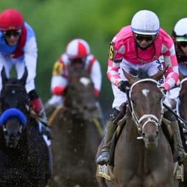 USA Today Preakness Picks 2022 Preakness Expert Predictions 2022