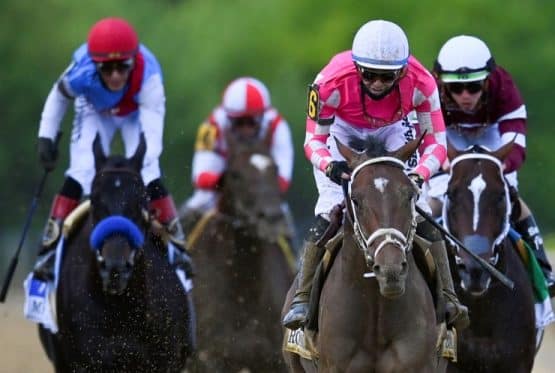 USA Today Preakness Picks 2022 Preakness Expert Predictions 2022