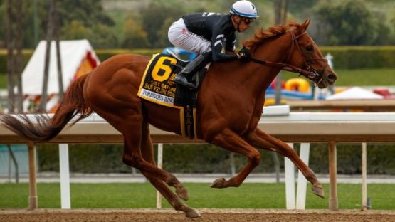 How to Bet on Kentucky Derby 2022 | Massachusetts Sports Betting Sites
