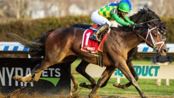 how to bet on Kentucky Derby 2022 in Wisconsin