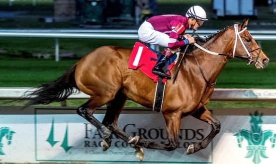 how to bet on Preakness 2022 in Arizona