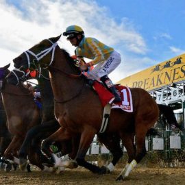 how to bet on Preakness 2022 in North Carolina