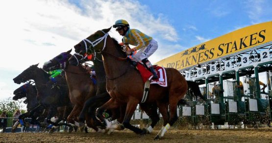 how to bet on Preakness 2022 in North Carolina