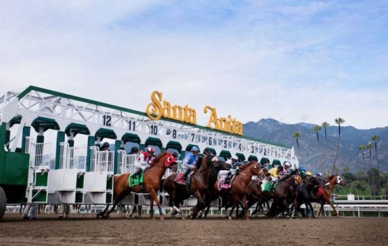 how to bet on hollywood cup 2022 in California