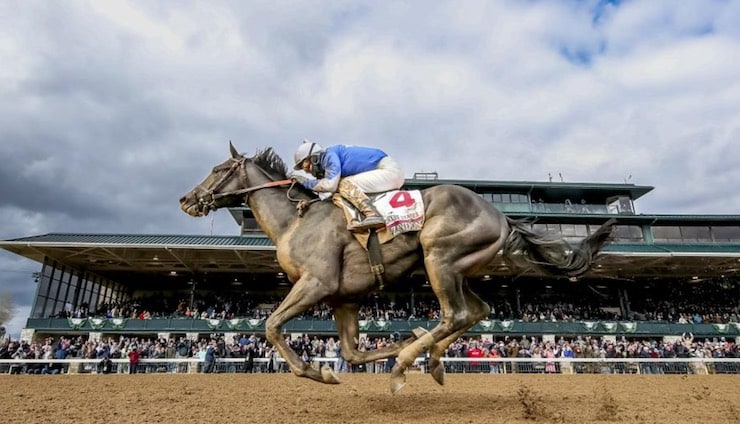 how to bet on kentucky derby 2022 in arizona