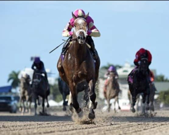 how to bet on kentucky derby 2022 in delaware