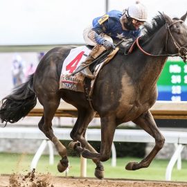 how to bet on kentucky derby 2022 in virginia