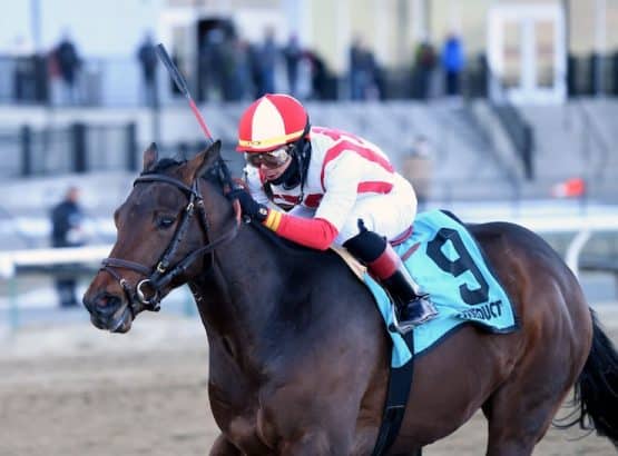 how to bet on preakness 2022 in Kansas