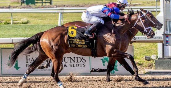 how to bet on preakness 2022 in Virginia