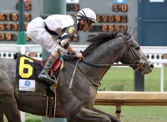 how to bet on preakness 2022 in ohio