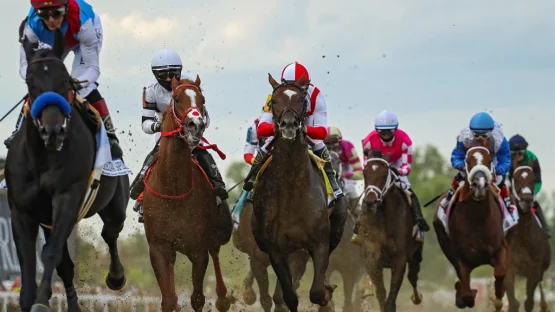 How to Bet on Preakness 2022 | Pennsylvania Sports Betting Sites
