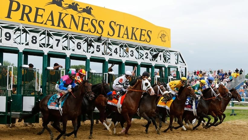 preakness