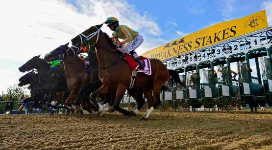 How to Bet on Preakness 2022 | California Sports Betting Sites