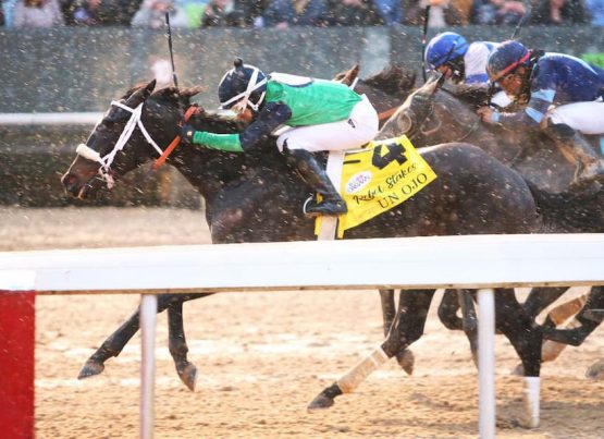 preakness stakes - un ojo