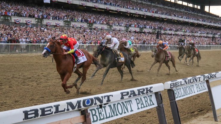 belmont park horse racing betting online