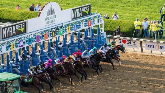 how to bet on Belmont 2022 in New York