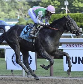 Artorius is the potential improver among Travers Stakes 2022 horses