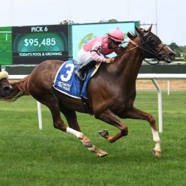 Channel Maker won the Sword Dancer Stakes in 2020