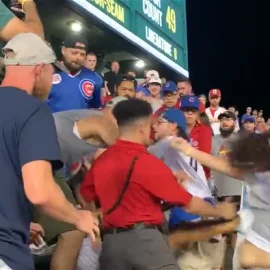 Cubs-brawl