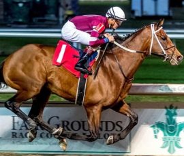 Epicenter is favorite among Travers Stakes 2022 horses