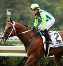 Jackie's Warrior is expected to win the Forego Stakes 2022 at Saratoga Race Course