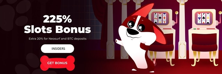 Red Dog Casino 225% Welcome Bonus