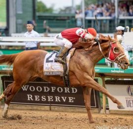 Kentucky Derby winner Rich Strike is another of the Travers Stakes 2022 horses