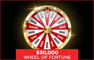 Everygame Casino wheel of fortune bonus