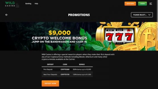Wild Casino CryptoWelcome Bonus