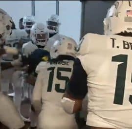 michigan state michigan brawl