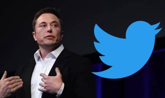 78.5% of Twitter Users Think Advertisers Should Support Free Speech, Elon Musk Poll Finds