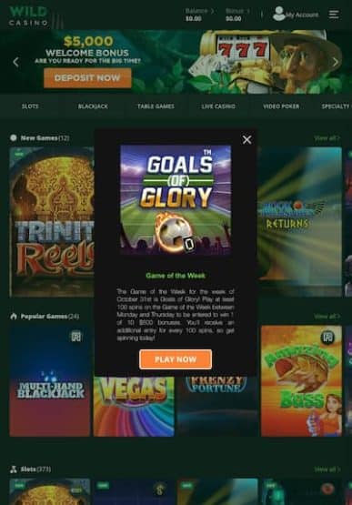 Wild Casino Tablet App Lobby