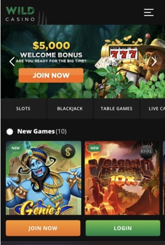 Wild Casino homepage