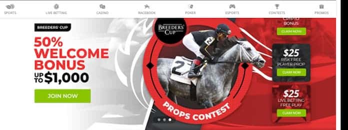 Best Breeders Cup 2022 Promo Codes With Over $6000 In Free Bets On Horse Racing Sportsbooks