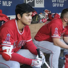 The Los Angeles Angels Desparately Need a Winning Season