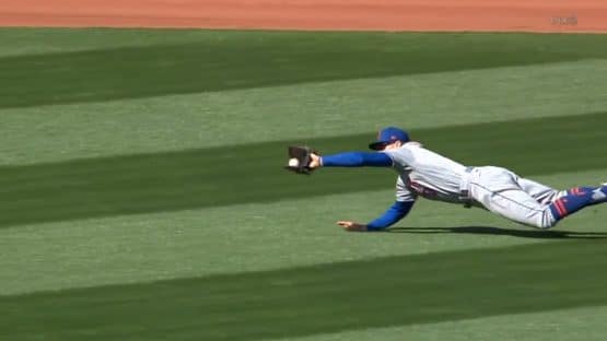 Nimmo Diving Catch
