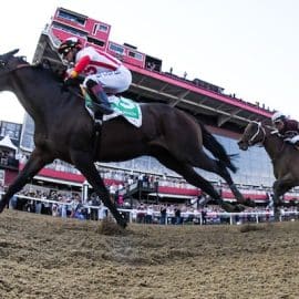 147 Preakness Stakes running.