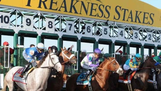 How to Bet on Preakness 2023 in Ontario | ON Sports Betting Apps