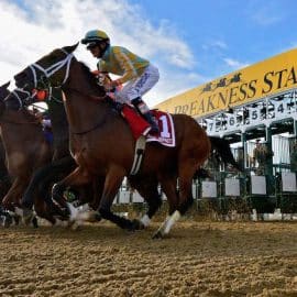 How to Watch the Preakness 2023 Post Position Draw Free Live Stream
