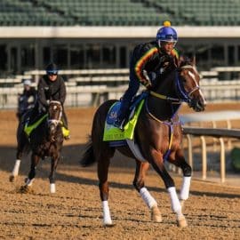 Kentucky Derby contender Lord Miles practices.