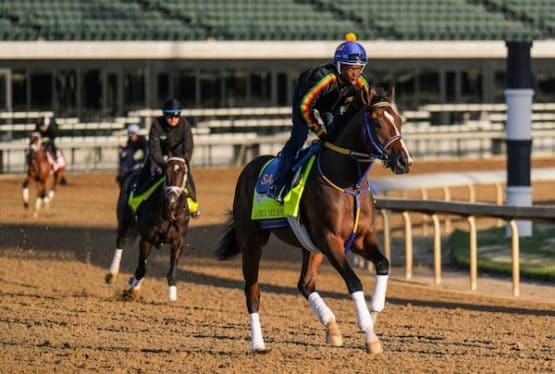 Kentucky Derby contender Lord Miles practices.