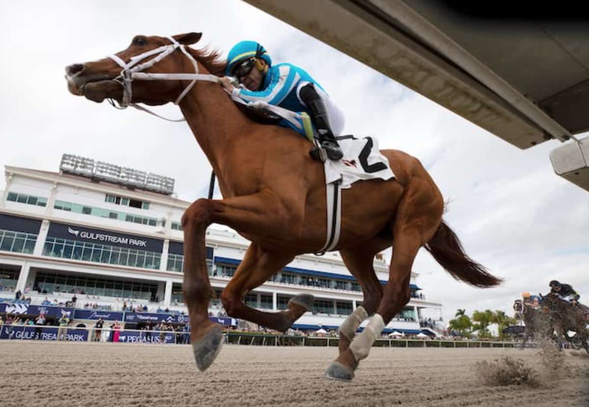 Mage Preakness 2023 odds, jockey, trainer & Equibase speed stats