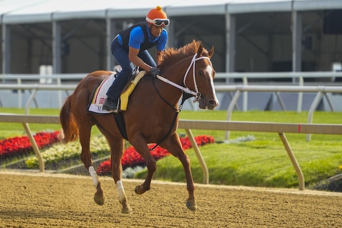 Preakness Stakes contender Mage practices.
