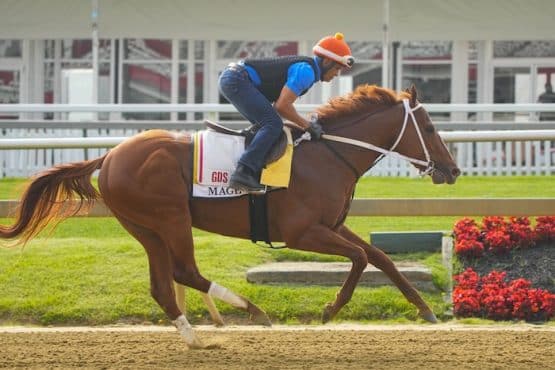 Preakness Stakes contender Mage practices.