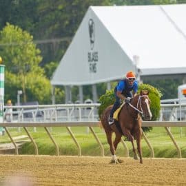 Preakness Stakes contender Mage trains.