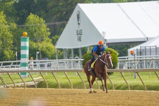 Preakness Stakes contender Mage trains.